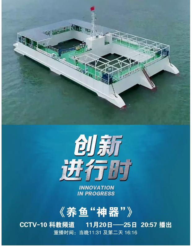 風(fēng)再猛、浪再大，都攔不住我養(yǎng)魚的雄心！